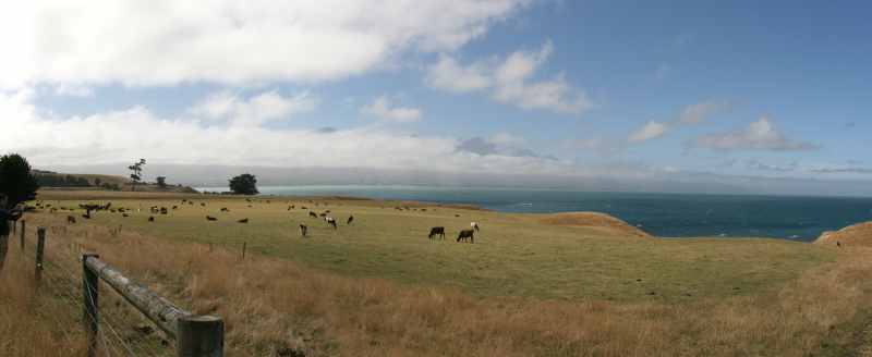 Nieuw-Zeeland 2011 - 1125